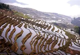 2024山东省英式橄榄球七人制比赛视频 2024山东省英式橄榄球七人制比赛视频