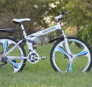 关于自行车夜战：南城灰熊队淘汰对手粤西貔貅队，临门一脚致胜中场绞杀压制对手的信息