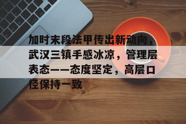 加时末段法甲传出新动向，武汉三镇手感冰凉，管理层表态——态度坚定，高层口径保持一致的简单介绍