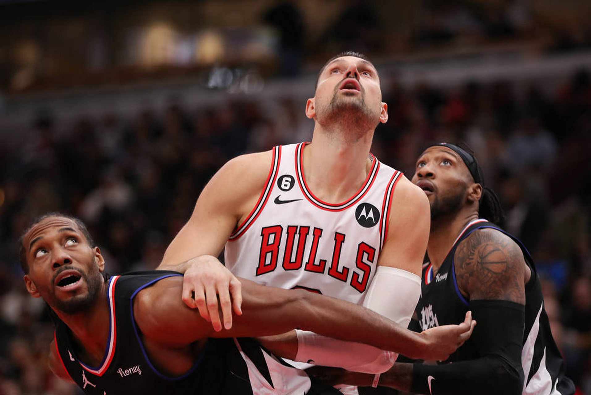 南宫娱乐- 公牛队全明星 